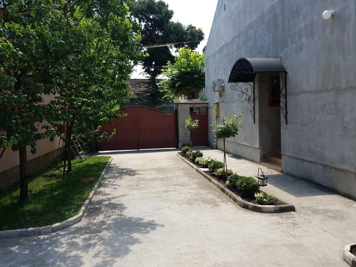 Apartman Vila Milica Kikinda 外观 照片